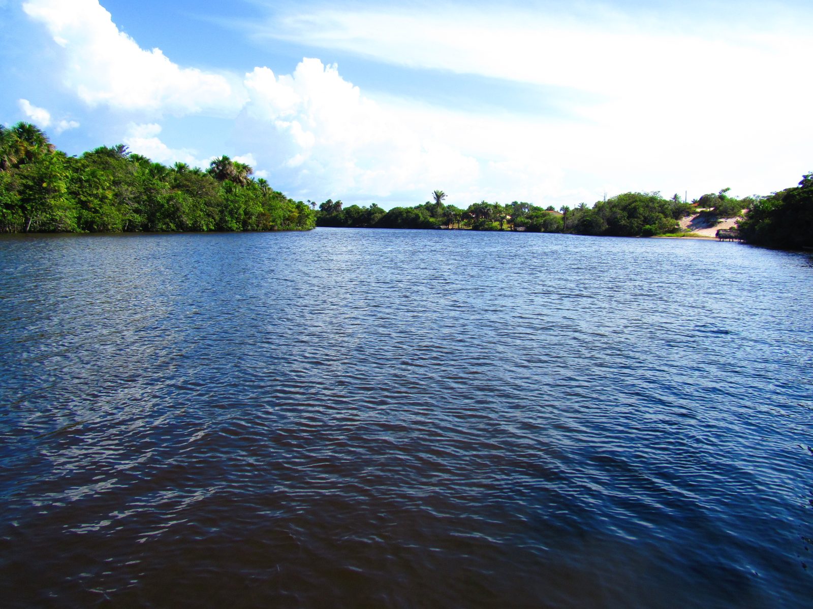 Rio Preguiças com margens de mata, em Barreirinhas, ponto de partida dos barcos para Atins