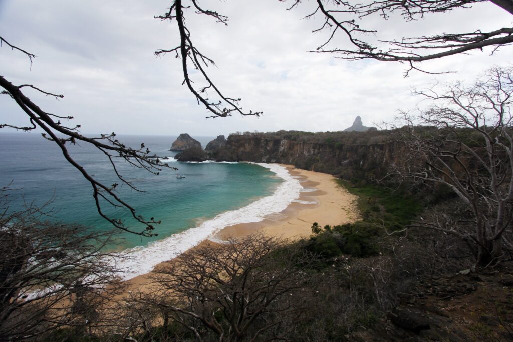 Praia do Sancho vista do alto da falésia, com mar verde-azulado e falésias