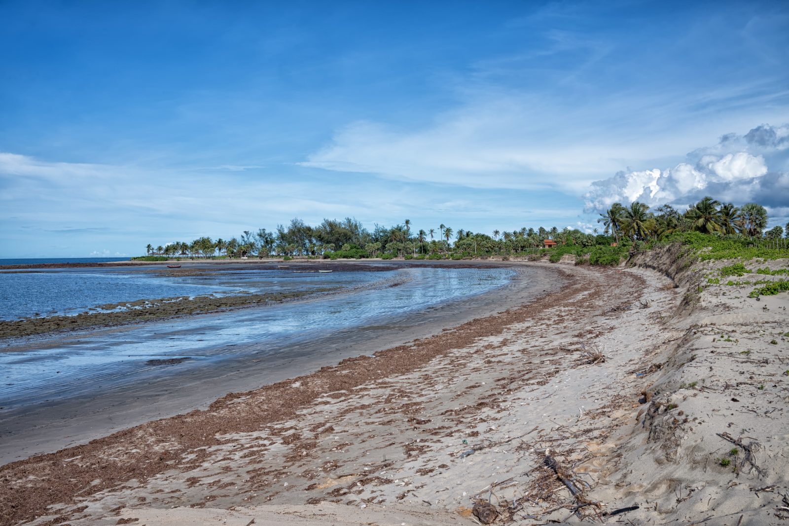 Praia com coqueiros e água calma na região da Barrinha, perto de Barra Grande