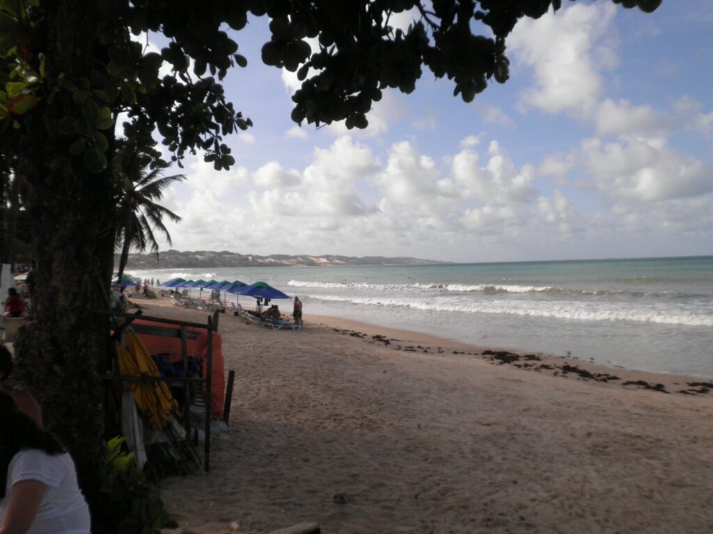 Faixa de areia de Ponta Negra com barracas e guarda-sóis, vista da sombra de uma árvore