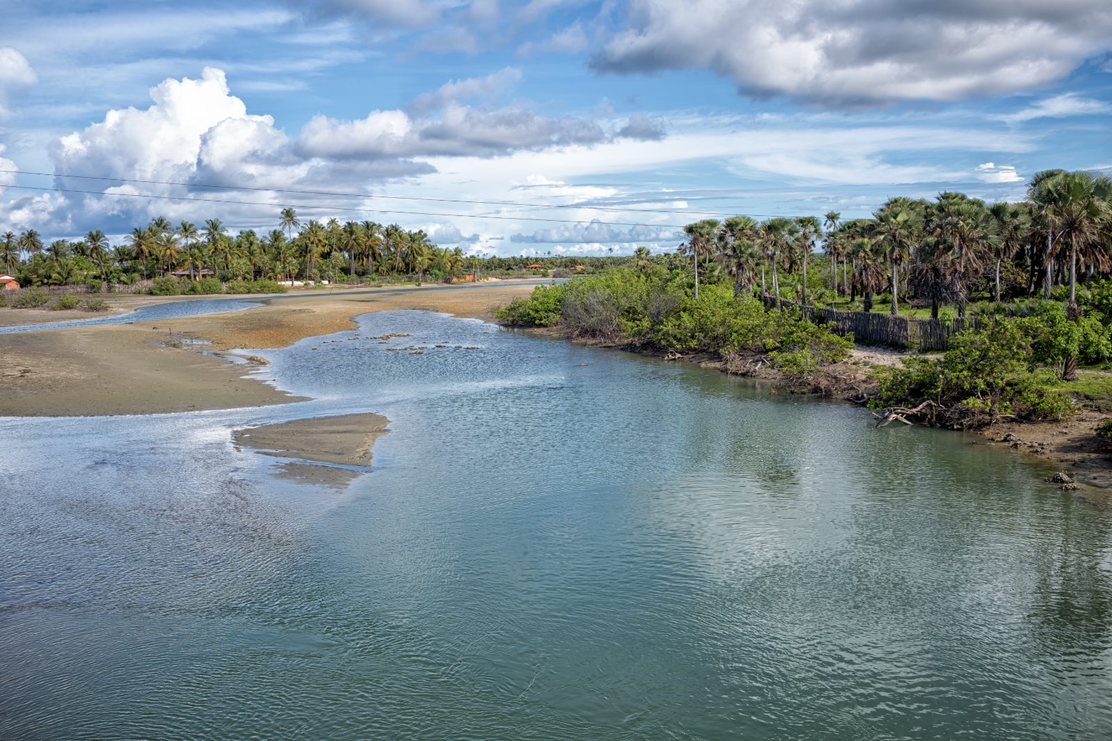 Rio cercado de coqueiros e mangue na Barrinha, em Cajueiro da Praia