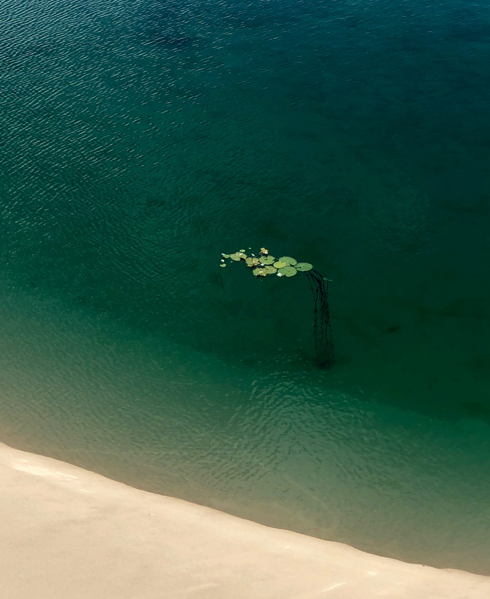 Lagoa de água verde cheia ao pé de uma duna branca nos Lençóis, região do Canto de Atins