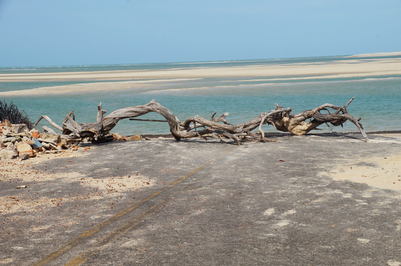 Tronco seco na areia e bancos de areia no mar de Barra Grande, Piauí, em dia de sol