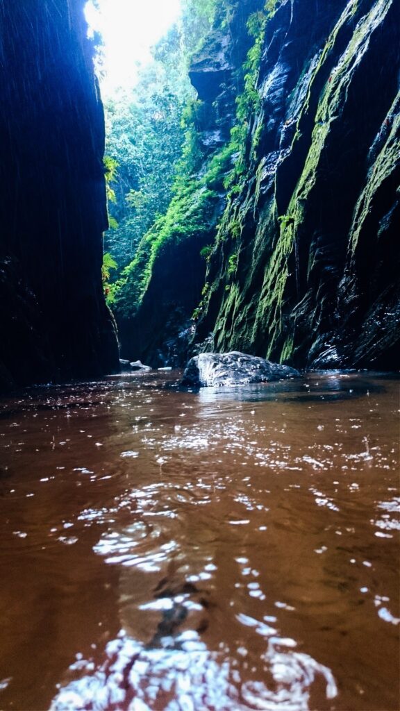 Cânion estreito e alto com paredes cobertas de vegetação e luz entrando pelo topo, no Santuário do Complexo Pedra Caída