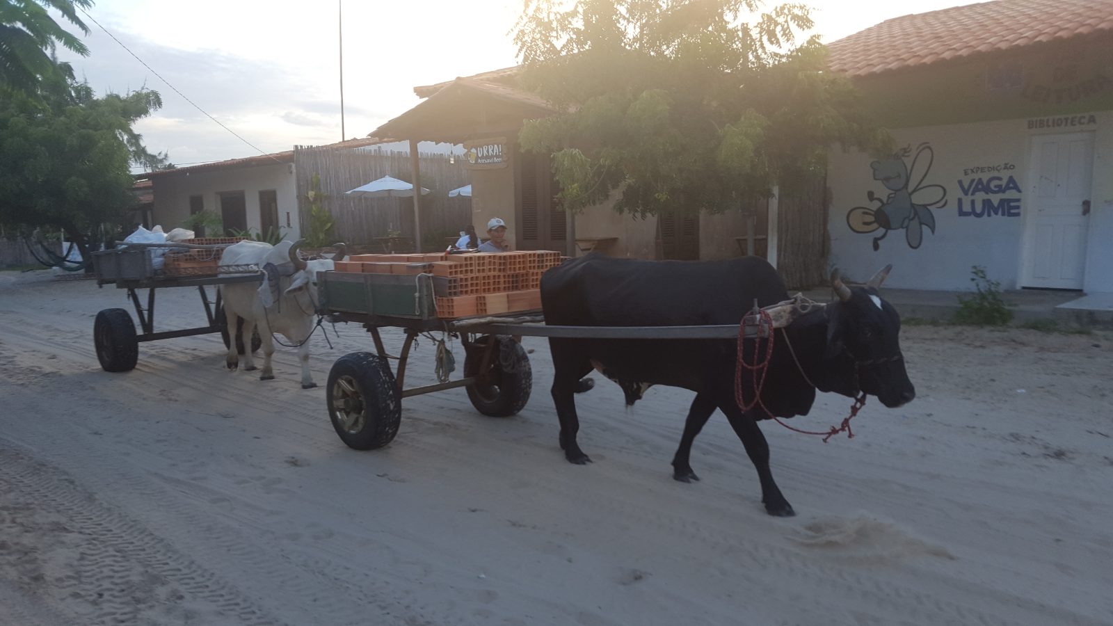 Carro de boi passando por rua de areia em frente a casas na vila de Atins
