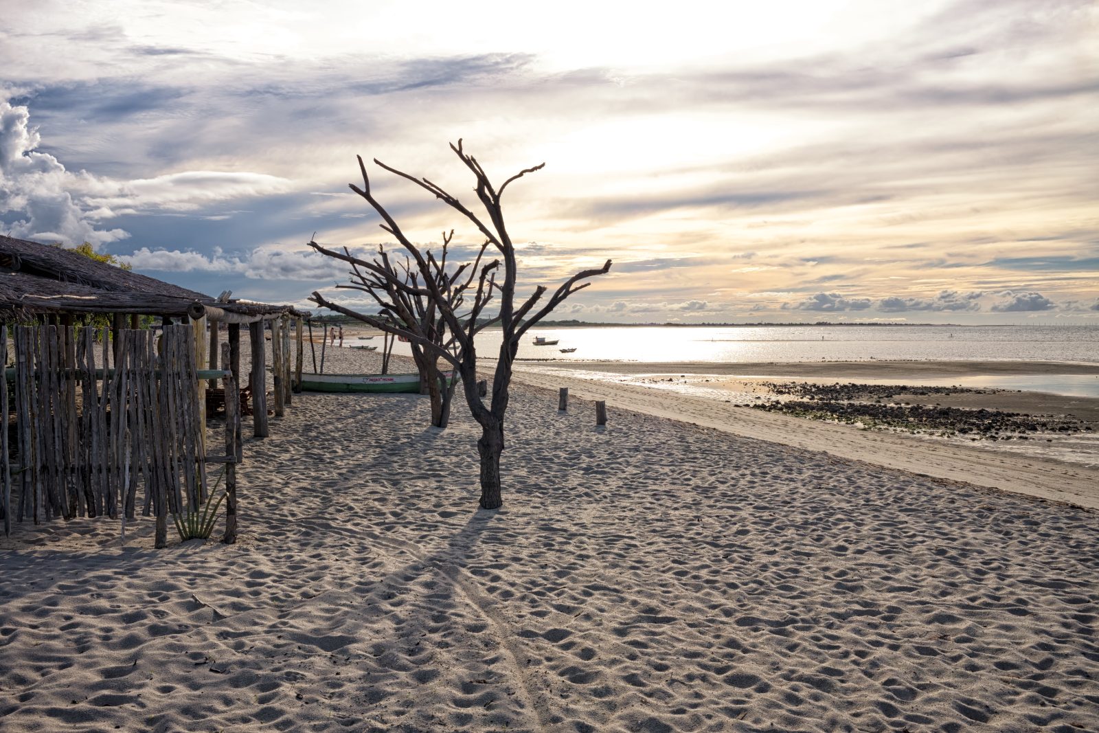 Praia de Barra Grande, no Piauí, com barracas de madeira e árvore seca na areia ao entardecer