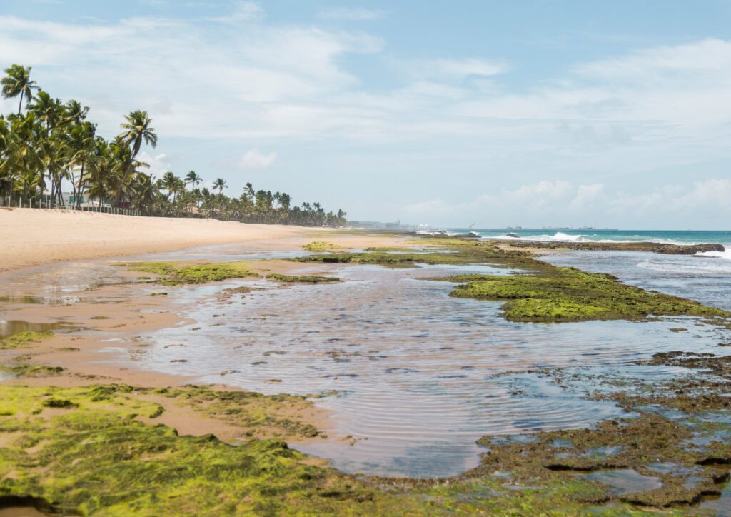 Praia de Muro Alto com recife comprido paralelo à areia, formando uma piscina de água calma, coqueiros e céu azul