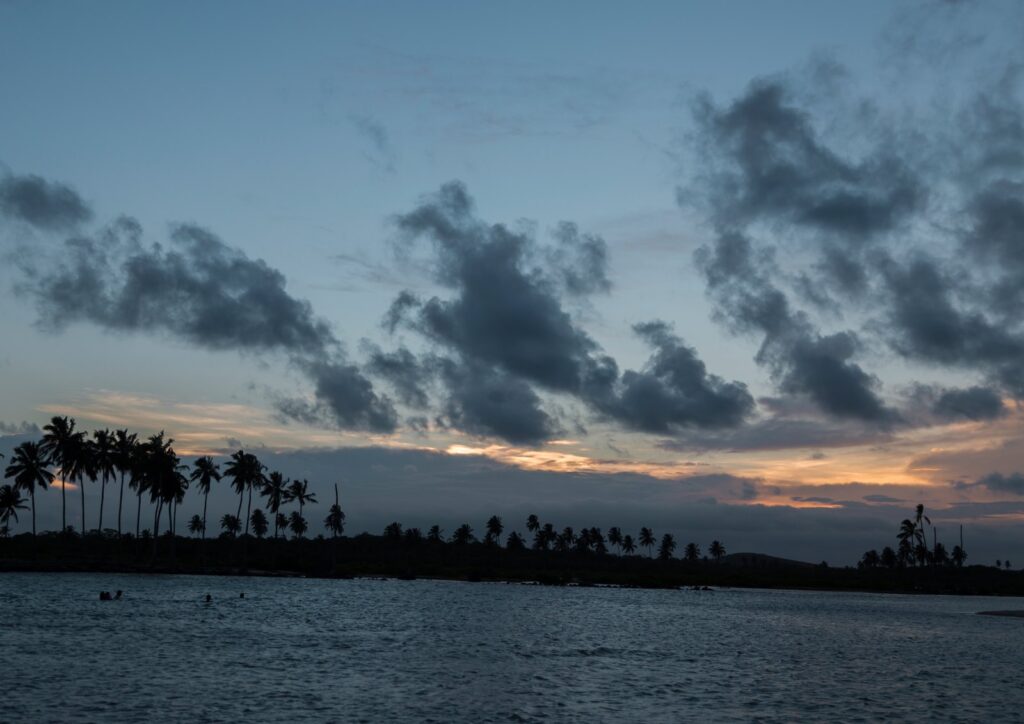Fim de tarde no Pontal de Maracaípe, com coqueiros em silhueta, céu nublado e o encontro do rio com o mar