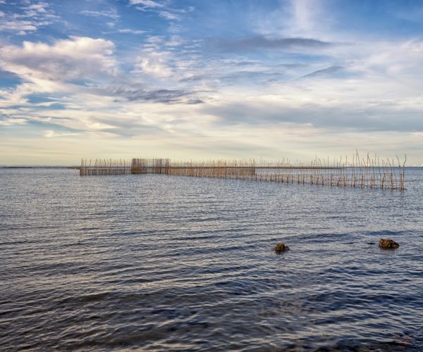 Currais de pesca no mar calmo de Barra Grande sob céu com nuvens